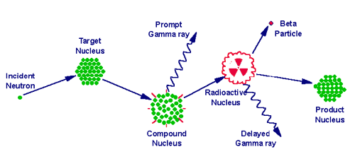 Prompt Gamma-ray Activation Analysis Fundamentals And Applications ...