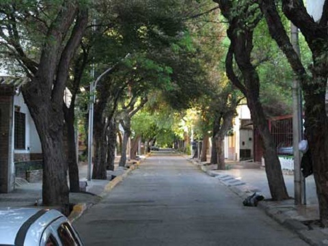 Tree-lined streets in Mendoza city