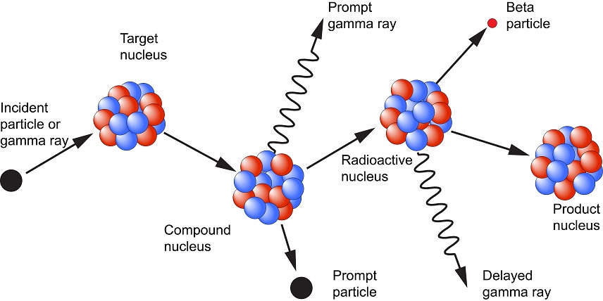 [Figure 1: Diagram illustrating the process of neutron capture by a target nucleus followed by the emission of gamma rays.]